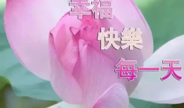 早安问候短视频,短视频中的美好时光