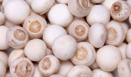 蘑菇视频爆料黑料吃瓜,揭秘娱乐圈黑料，吃瓜群众狂欢时刻