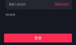 短视频种子下载,轻松获取热门视频，畅享娱乐盛宴