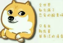 单身狗短视频,揭秘现代单身族的欢乐日常