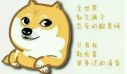 单身狗短视频,揭秘现代单身族的欢乐日常