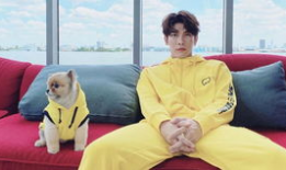 沈腾爆料吃瓜是真的吗,吃瓜事件真相揭秘