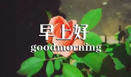 早安问候短视频,短视频中的美好时光