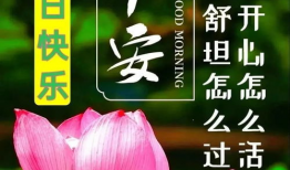 早安问候短视频,短视频中的美好时光