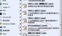 rm格式短视频下载,RM格式短视频下载攻略
