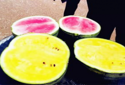 汕头最新吃瓜爆料免费观看,最新爆料免费直播，揭秘汕头风云变幻