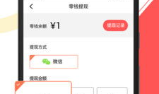 短视频种子下载,轻松获取热门视频，畅享娱乐盛宴