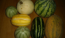 各种网红爆料吃瓜的视频,揭秘娱乐圈幕后真相