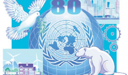 动漫联合国,多元文化交融下的动漫产业盛况