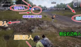 和平精英吃瓜爆料q区,揭秘游戏内幕，带你领略不一样的游戏世界