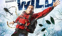 荒野求生动漫,逆境中的生存智慧与人性光辉