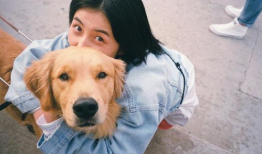 香香公主和爱犬吃瓜爆料,娱乐圈幕后真相曝光