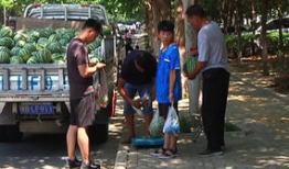 广西吃瓜群众爆料梧州事件,吃瓜群众视角下的真相揭秘