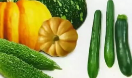 六点半吃瓜爆料