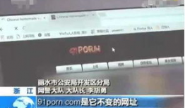 91康先生直播平台下载,下载体验与内容解析